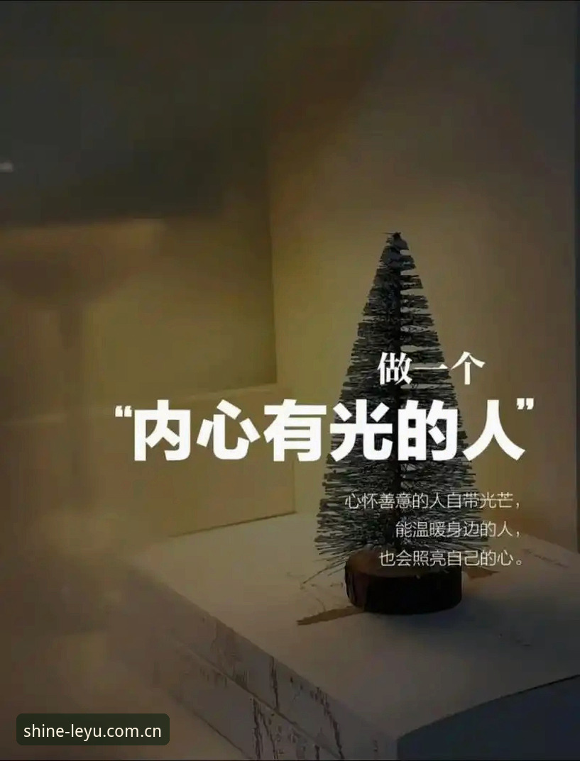 聚焦核心光芒2025中国官网入口使用技巧 聚焦核心光芒2025中国官网入口使用技巧详解
